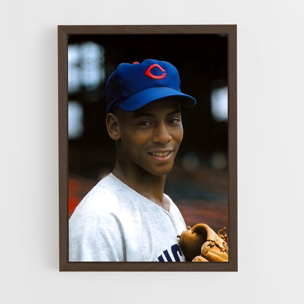 Poster Le Petit Lanceur – affiche Baseball (vue 5)